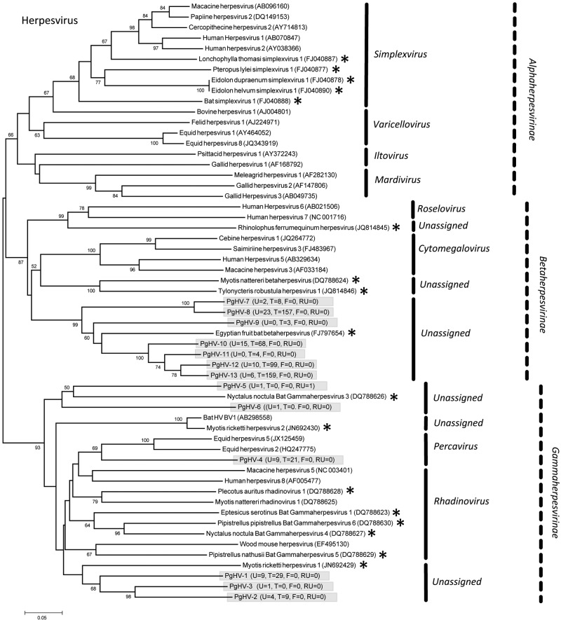 FIG 6 