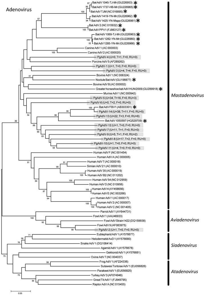 FIG 2 