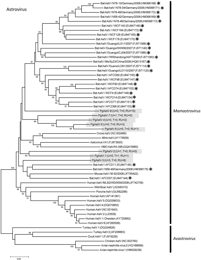 FIG 3 