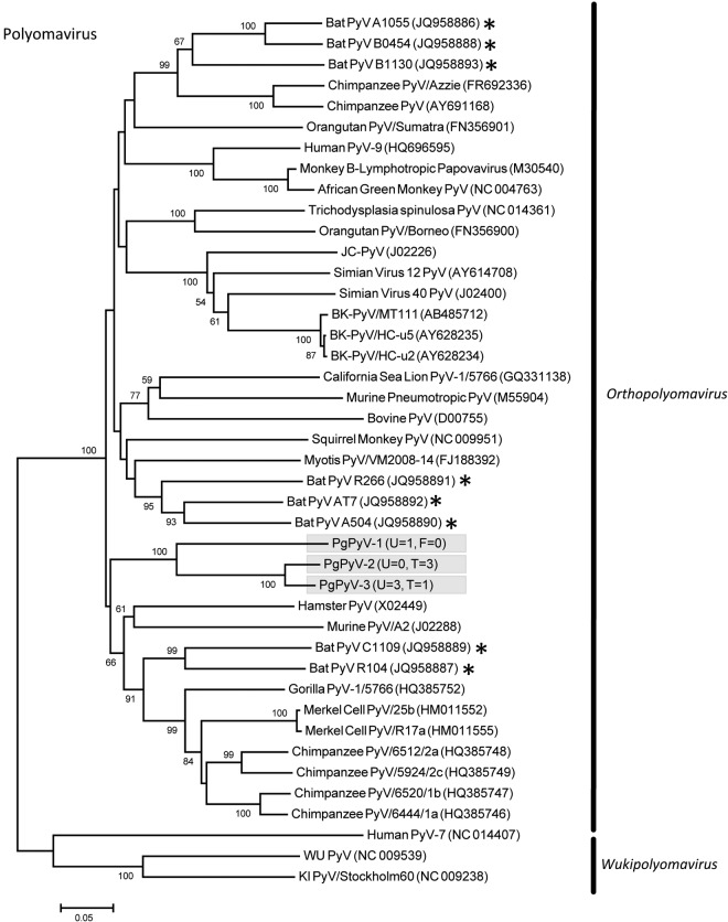 FIG 5 