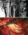 Fig. 2.