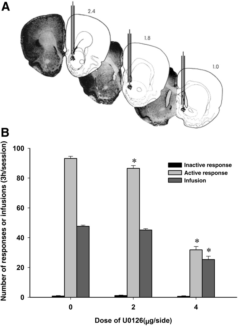 Fig. 4