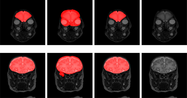 Fig. 10