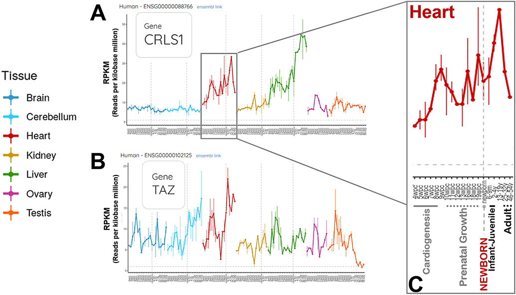 FIGURE 3.