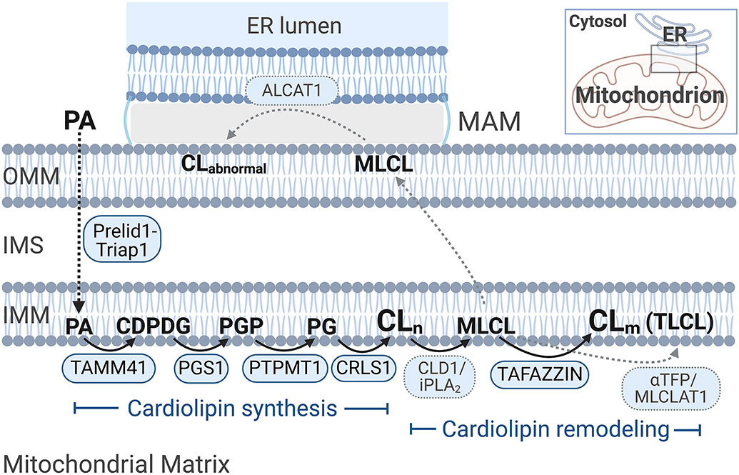 FIGURE 2.