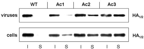 FIG. 5.