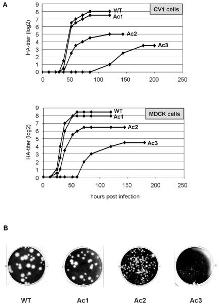 FIG. 2.