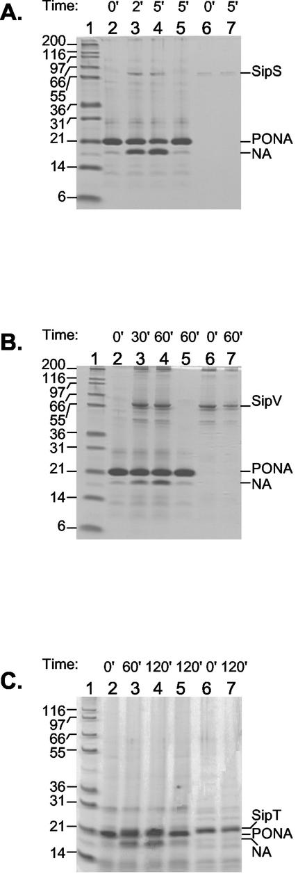 FIG. 5.