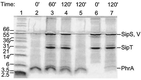 FIG. 6.