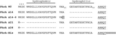 FIG. 4.