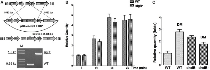 Figure 9