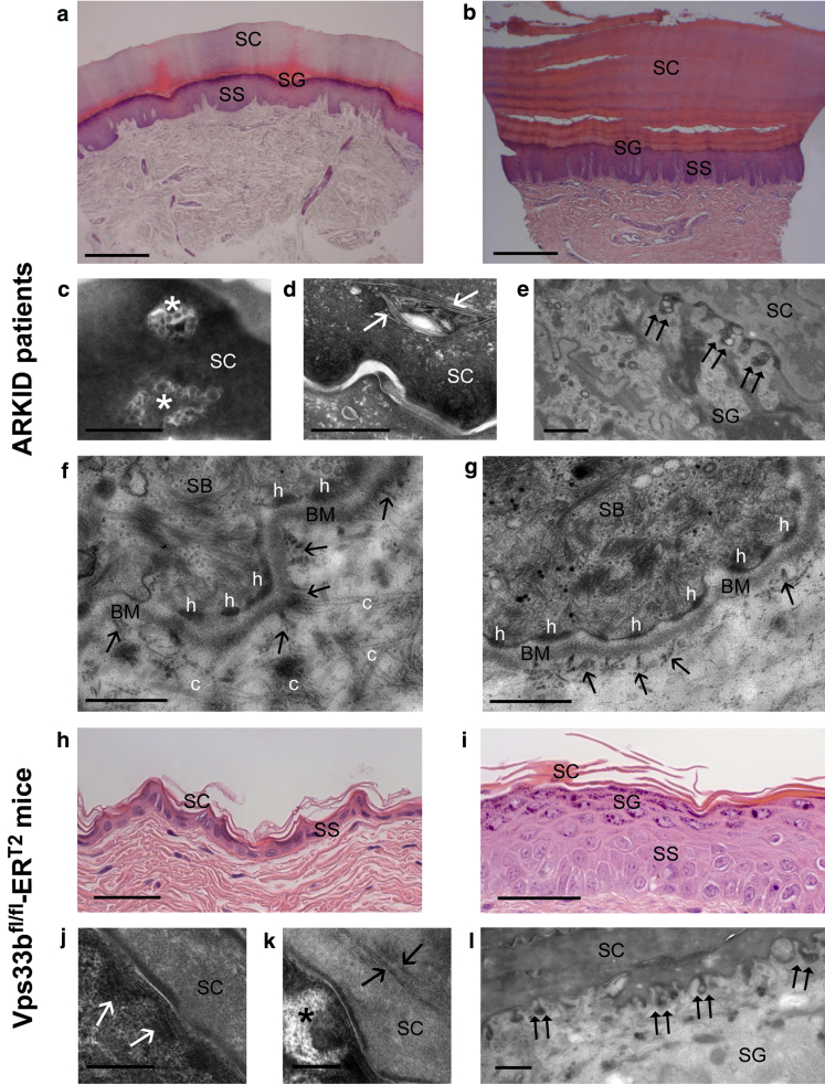 Figure 5