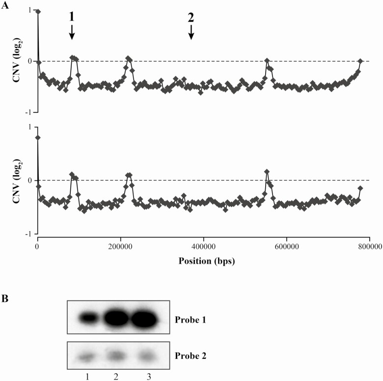 Figure 3.