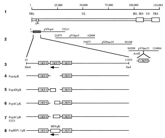 FIG. 7