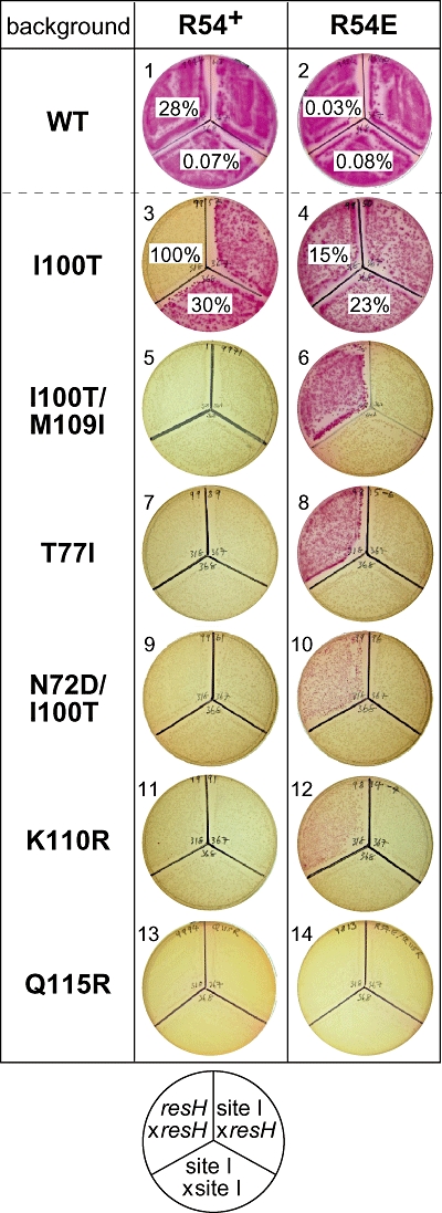 Fig. 3