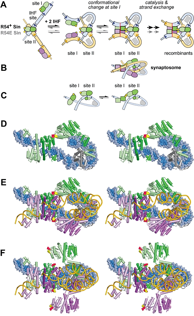 Fig. 9