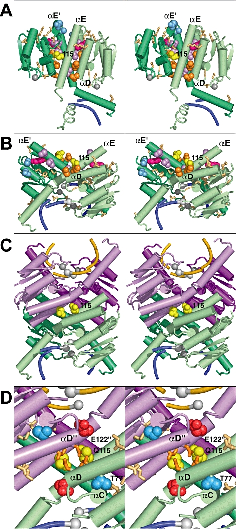 Fig. 8