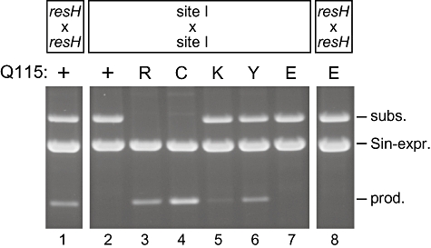 Fig. 5