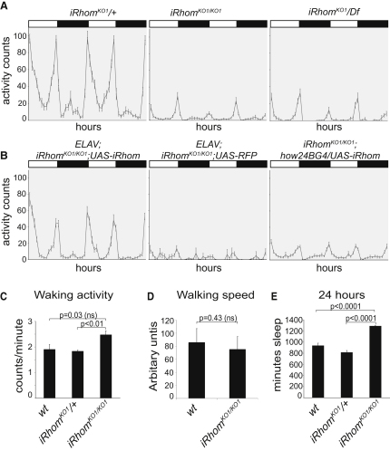 Figure 3