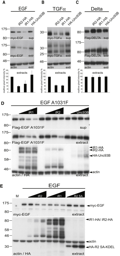 Figure 6