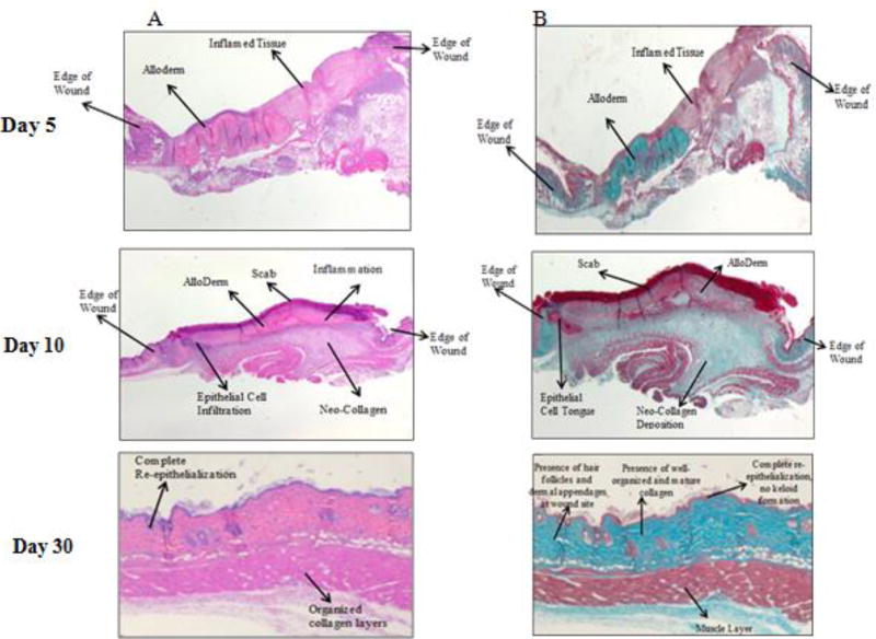 Fig. 9