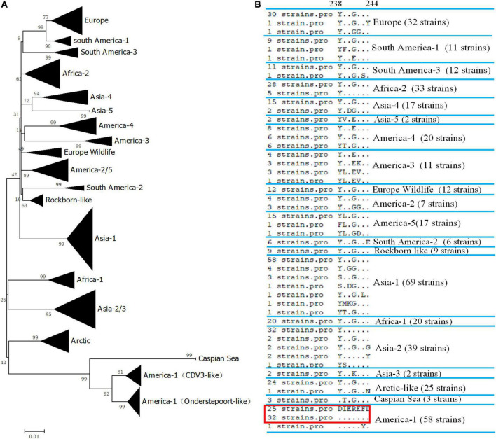 FIGURE 4