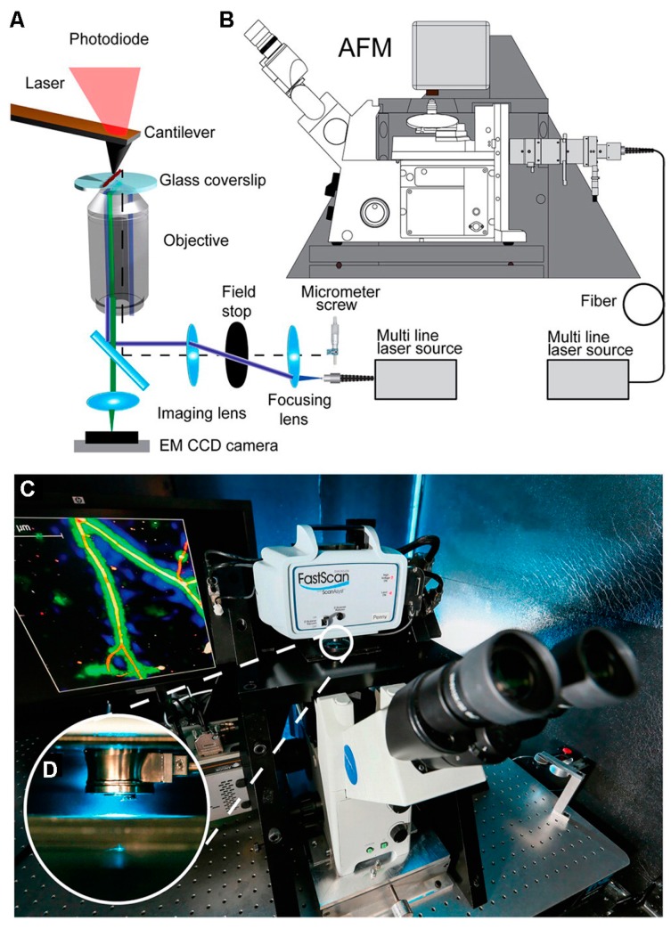 Figure 9