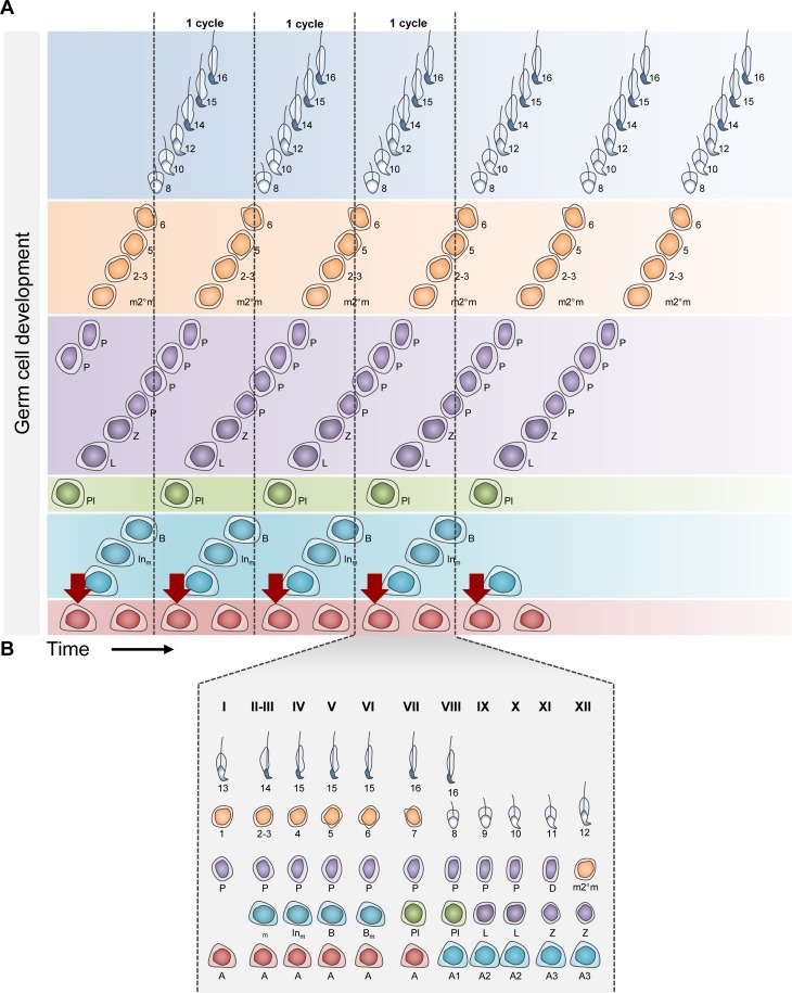 Figure 3.