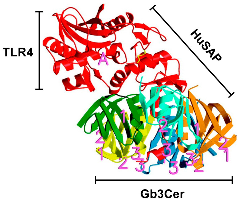 Figure 4