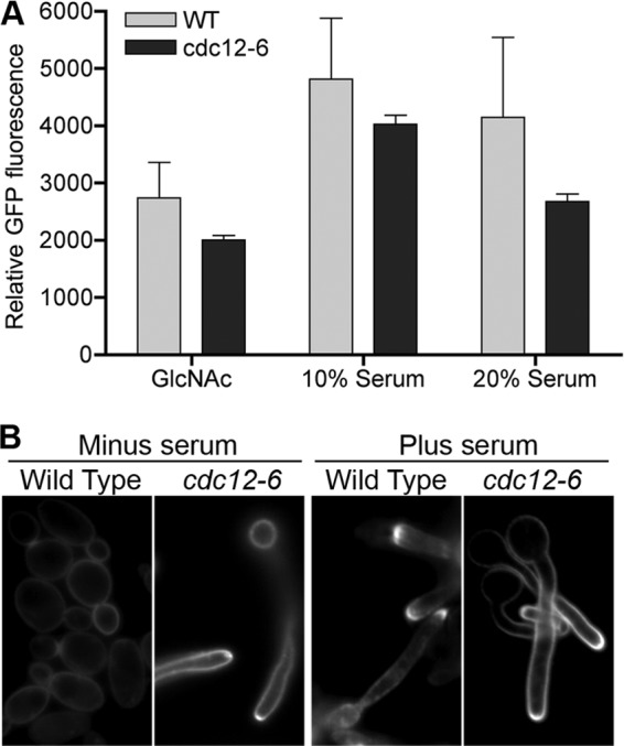 Fig 6