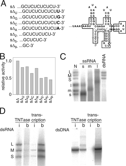 FIG. 4.