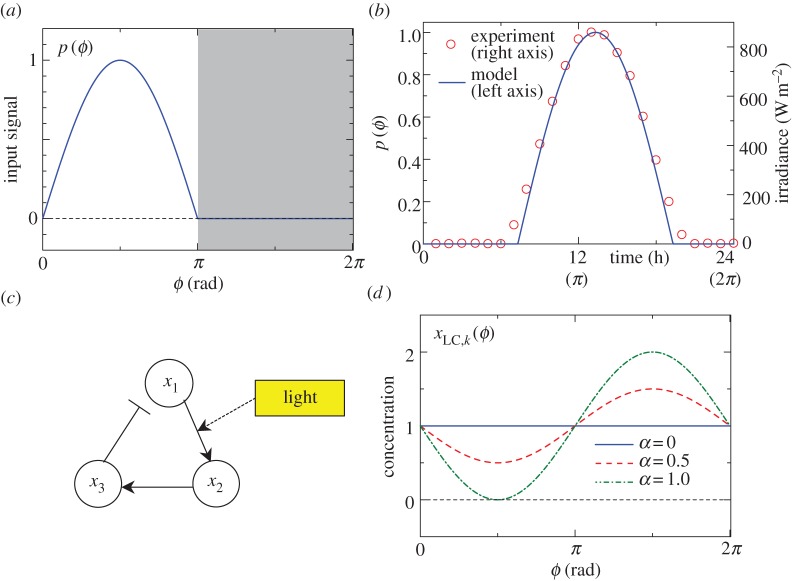 Figure 4.