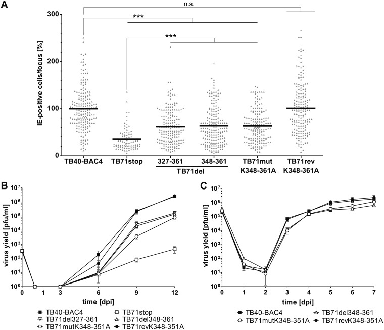 FIG 6