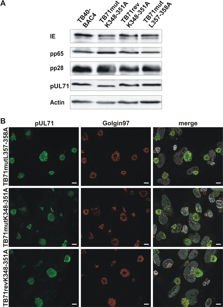 FIG 4