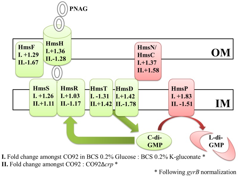 Fig 6