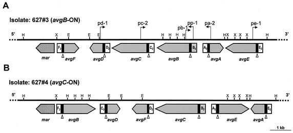 FIG. 3.