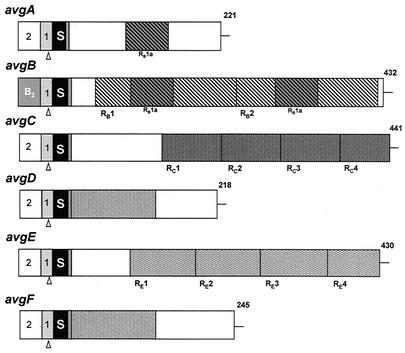 FIG. 4.