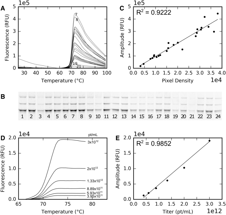 Figure 5