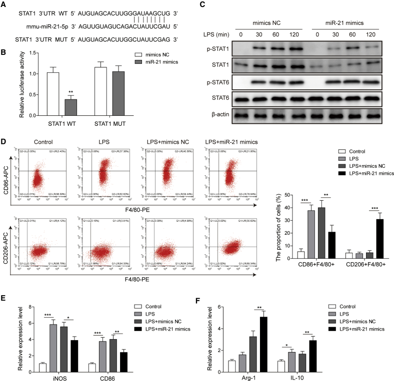 Figure 6