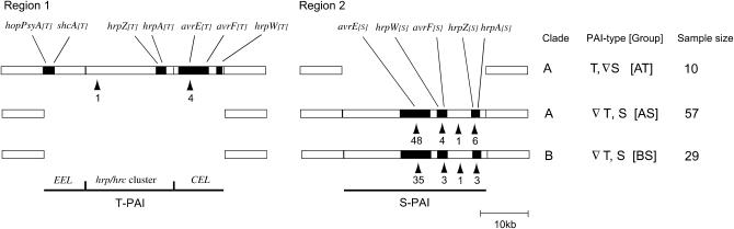 Figure 1.—