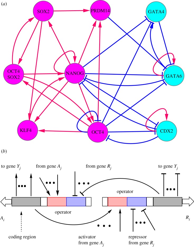 Figure 1.