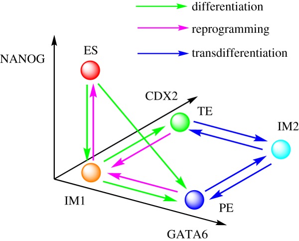 Figure 5.