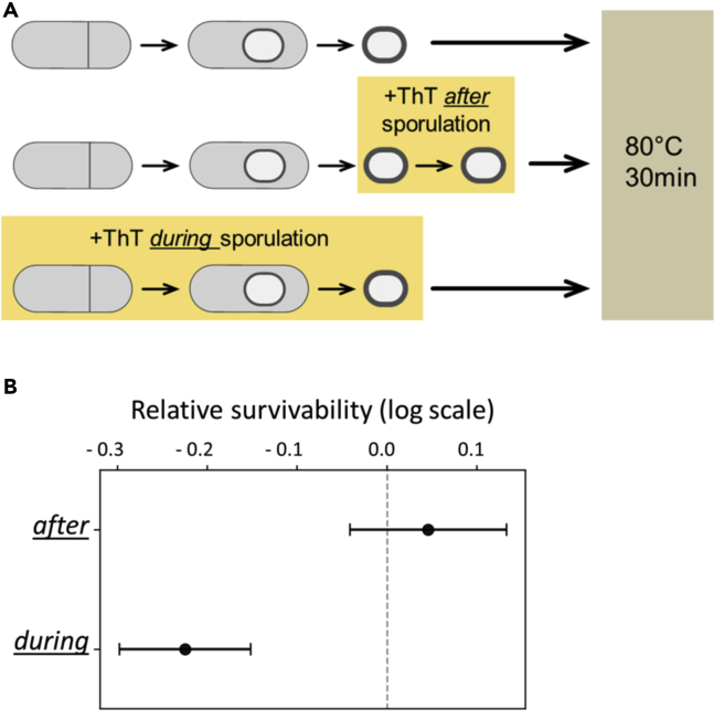 Figure 5