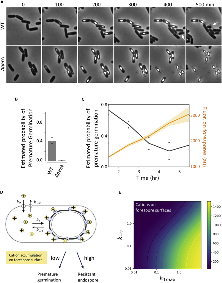 Figure 3