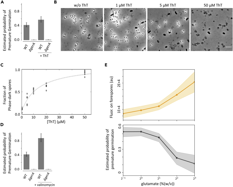 Figure 4