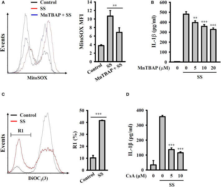 Figure 5