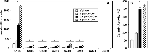 FIGURE 9.