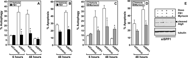 FIGURE 10.