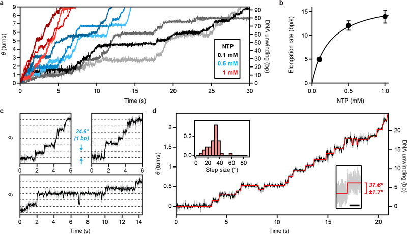 Figure 4 |