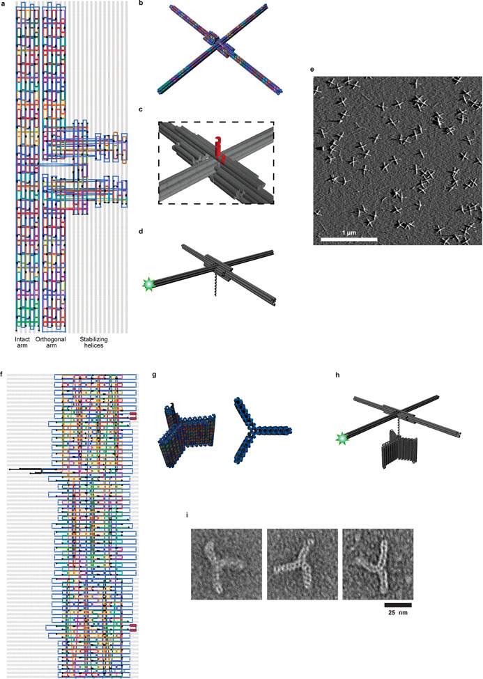 Extended Data Figure 1 |